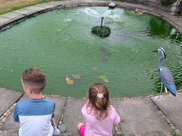 Pond