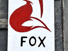 Fox farm
