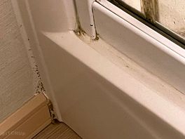 Thats just one picture,the mould was all over bathroom