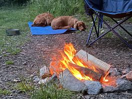 Relaxing by the fire