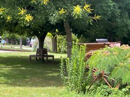 Campsite surrounding