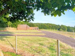 Around the site