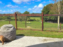 View from the garden