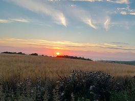 Evening sunset view