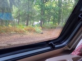 Peace and quiet