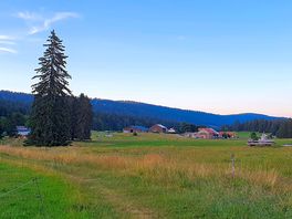 View of the campsite