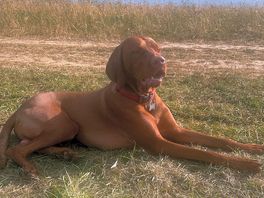 Stanley enjoying his holiday
