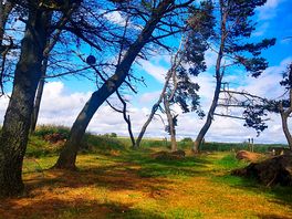 Camp view
