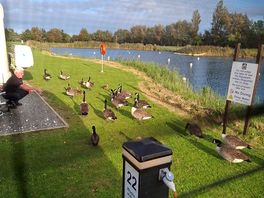 Pitch next to lake