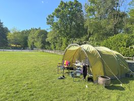 Tent pitch and beautiful wooded area in the sunshine