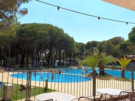 Le bar restaurant près de la piscine