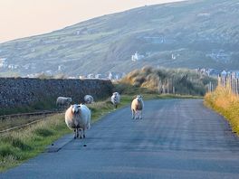 Beauty of wales