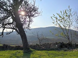 View from my pitch