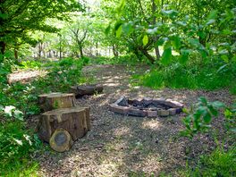 Woodland pitch with firepit