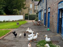Hen house