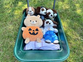 Fun camping trip
