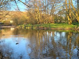River alongside the site