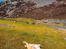 Elan valley