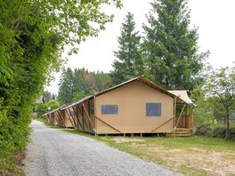 Safari tents surrounded by trees