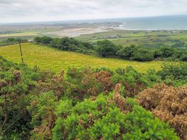 Looking at the estuary