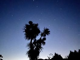 Night walk