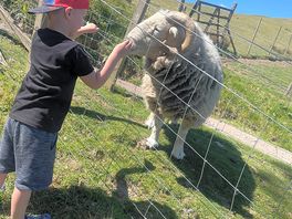 Animals were very friendly
