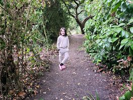 Exploring the paths