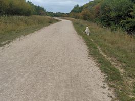 Walking path