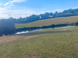 Peaceful fishing pond to also relax at