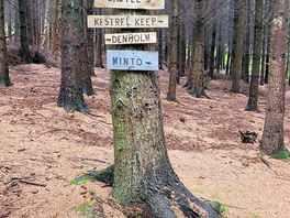 Cool signposts
