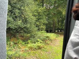 Morning view from back of van