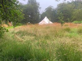 View of the tent through the wild flower meadow
