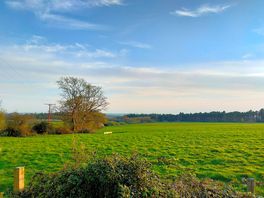 Gorgeous view