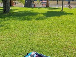 Grassed area to sunbathe