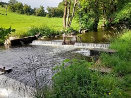 Riverside walk
