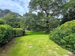 The grounds.