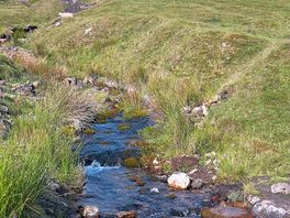 Stream