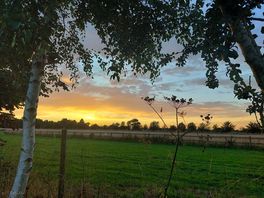 Beautiful norfolk skies