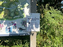 Heath walk