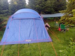 Our pitch