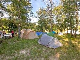 Tree-shaded tent pitches