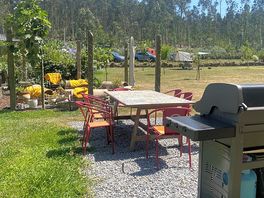 Maak gratis gebruik van de gas bbq