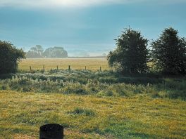 Morning view