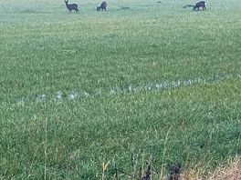 Wake up with friends!