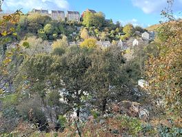 View from the nature trail