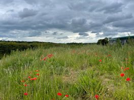Field walks