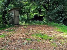 View into the plot, loo to the side