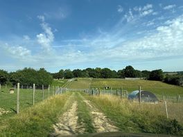 A view over the animal enclosures
