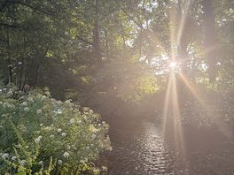Morning view on the river behind our pitch