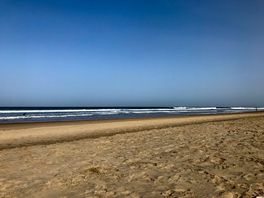 The local beach.